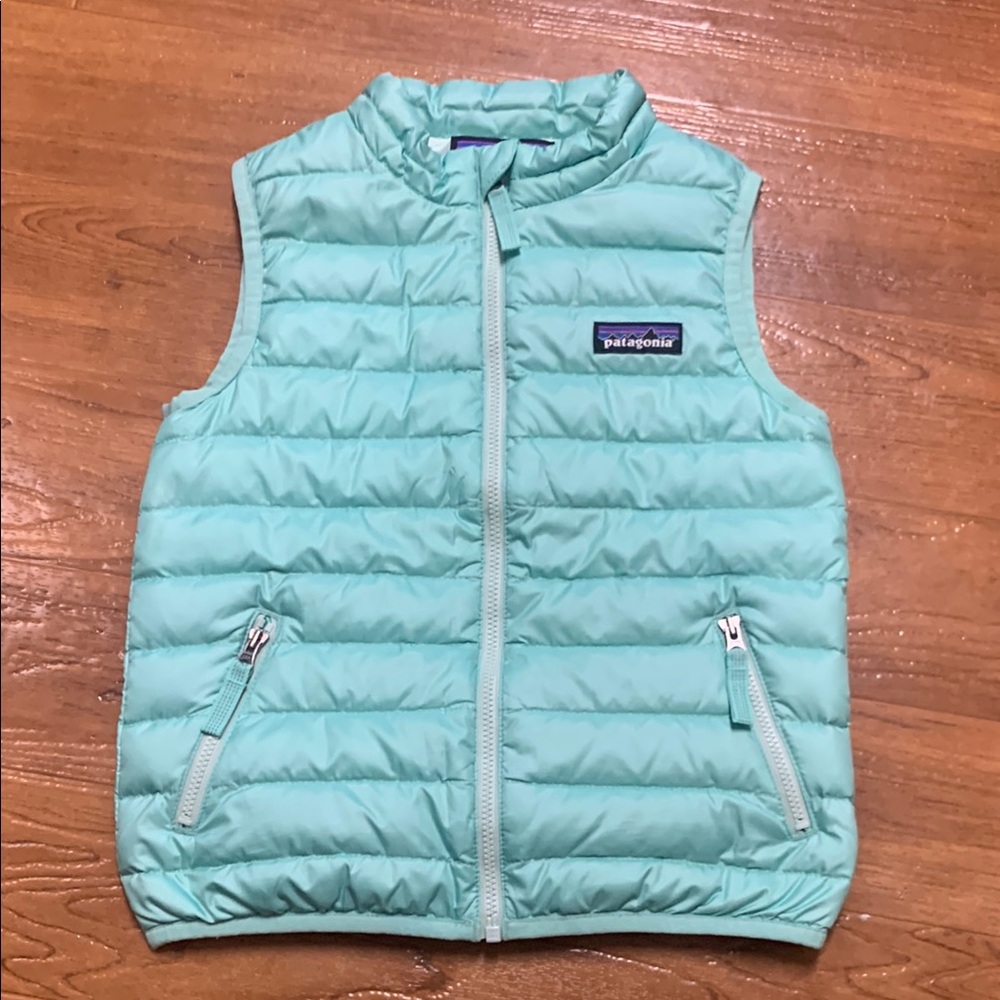 Patagonia Down Puffer Vest